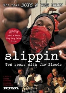 Slippin': Ten Years with the Bloods (2005)